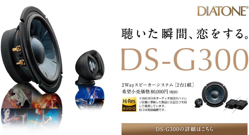 top_recommend_ds-g300